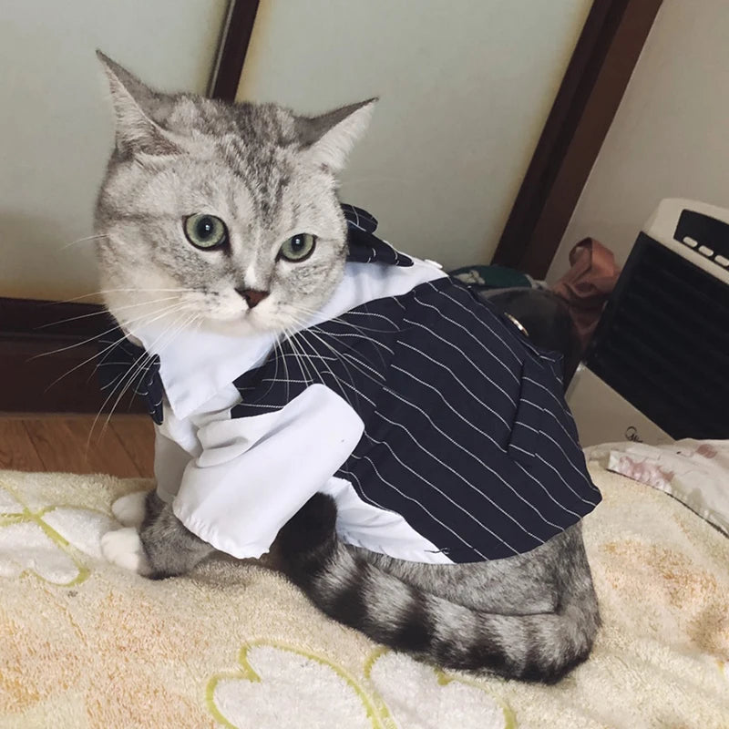 Nexa™ DapperPaws Formal Pet Suit