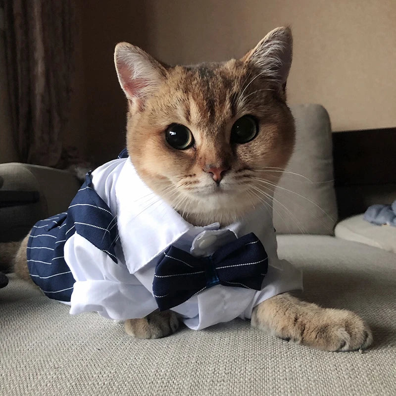 Nexa™ DapperPaws Formal Pet Suit