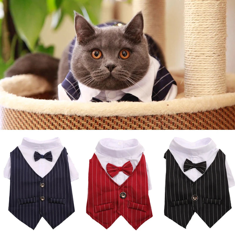 Nexa™ DapperPaws Formal Pet Suit