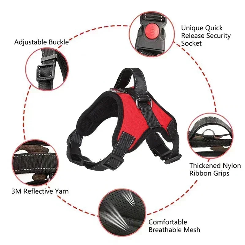 Nexa™ ComfortGrip No-Pull Dog Harness Set