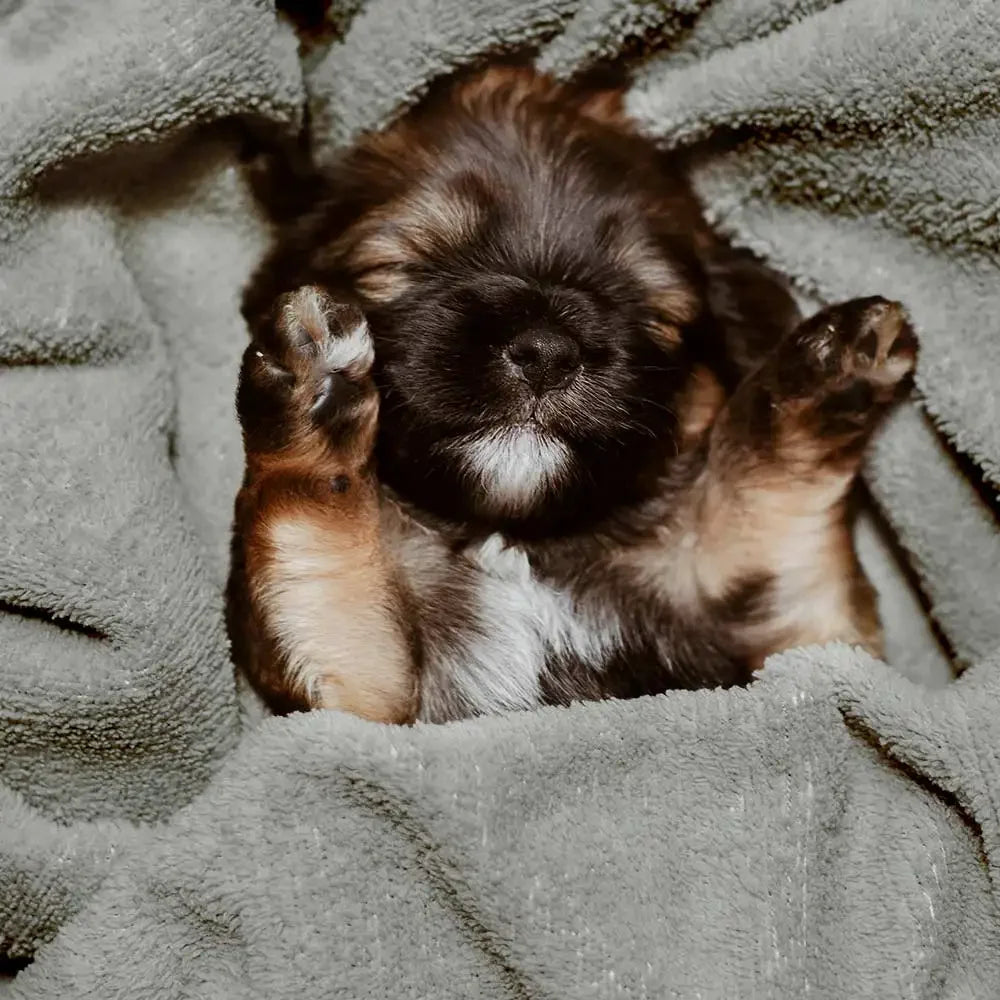 Nexa™ UltraDry Pet Bathrobe Towel