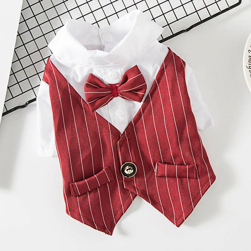 Nexa™ DapperPaws Formal Pet Suit