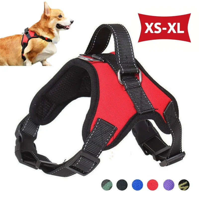 Nexa™ ComfortGrip No-Pull Dog Harness Set