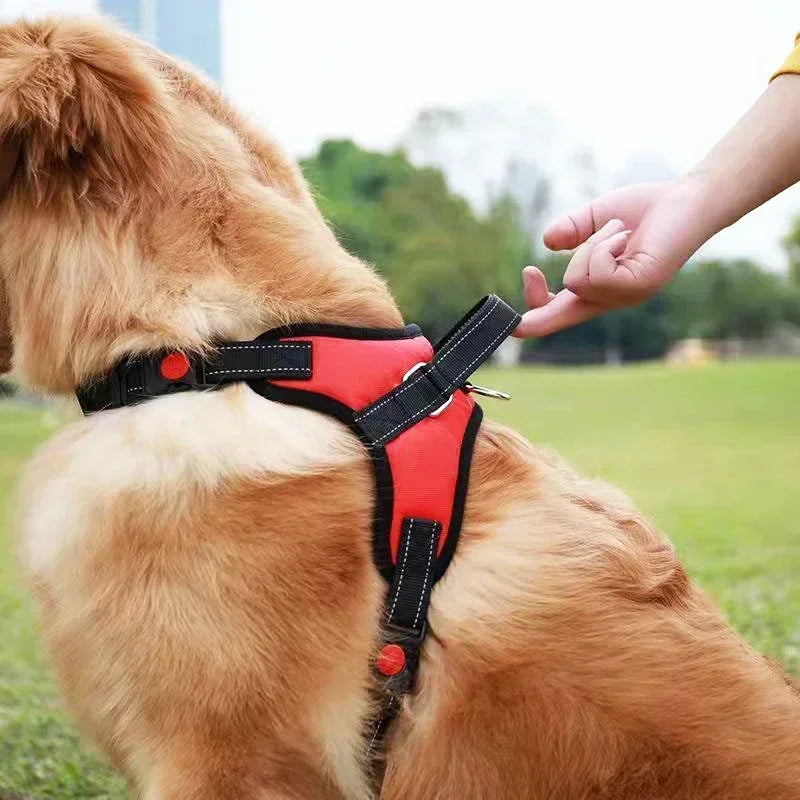 Nexa™ ComfortGrip No-Pull Dog Harness Set