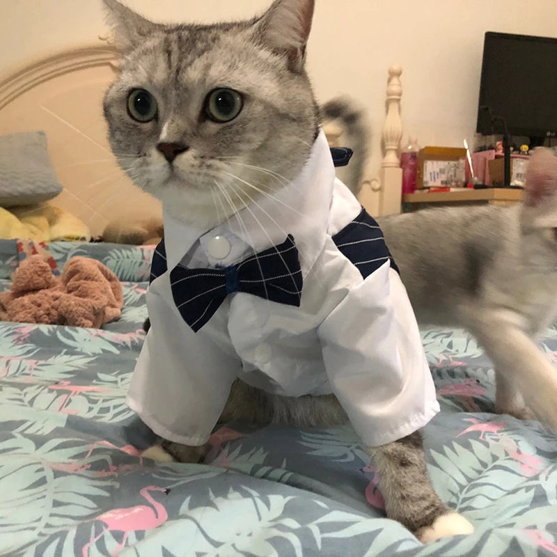 Nexa™ DapperPaws Formal Pet Suit
