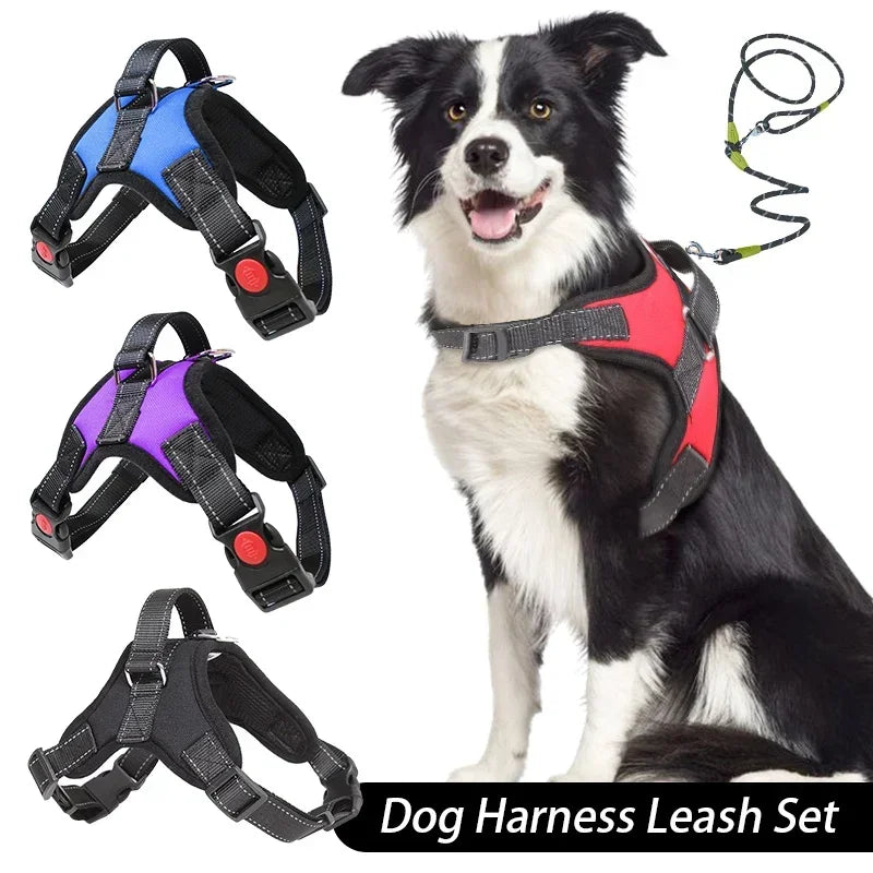 Nexa™ ComfortGrip No-Pull Dog Harness Set