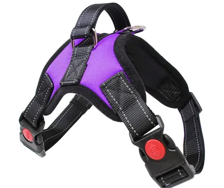 Nexa™ ComfortGrip No-Pull Dog Harness Set
